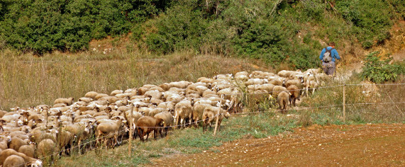 Qu sabes de la Red Natura 2000?